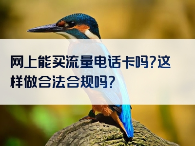 网上能买流量电话卡吗？这样做合法合规吗？
