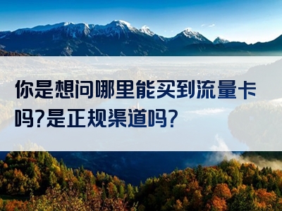 你是想问哪里能买到流量卡吗？是正规渠道吗？
