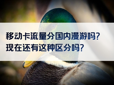 移动卡流量分国内漫游吗？现在还有这种区分吗？