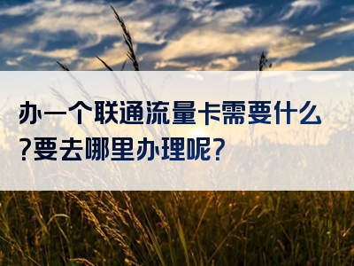 办一个联通流量卡需要什么？要去哪里办理呢？