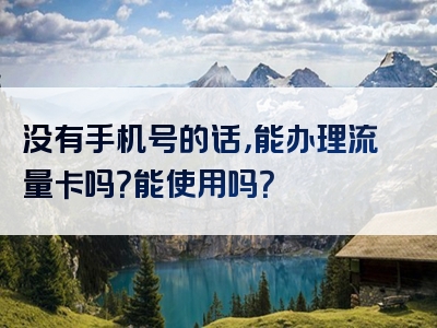 没有手机号的话，能办理流量卡吗？能使用吗？