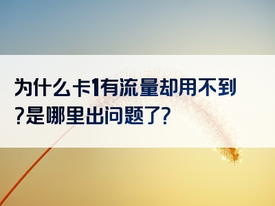 为什么卡1有流量却用不到？是哪里出问题了？