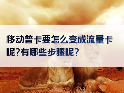 移动普卡要怎么变成流量卡呢？有哪些步骤呢？