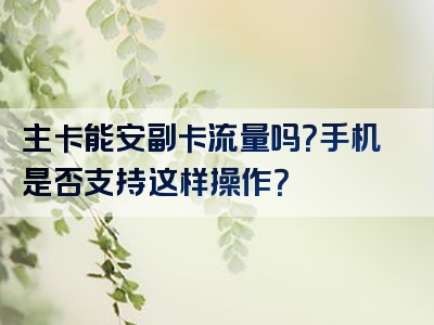主卡能安副卡流量吗？手机是否支持这样操作？