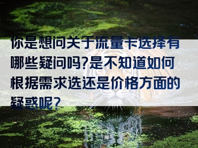 你是想问关于流量卡选择有哪些疑问吗？是不知道如何根据需求选还是价格方面的疑惑呢？