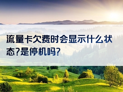流量卡欠费时会显示什么状态？是停机吗？