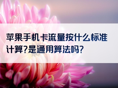 苹果手机卡流量按什么标准计算？是通用算法吗？