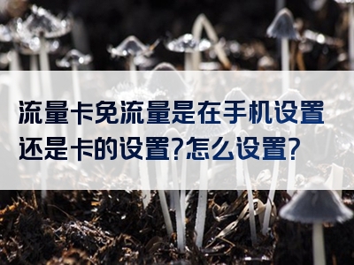 流量卡免流量是在手机设置还是卡的设置？怎么设置？