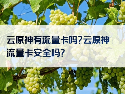 云原神有流量卡吗？云原神流量卡安全吗？