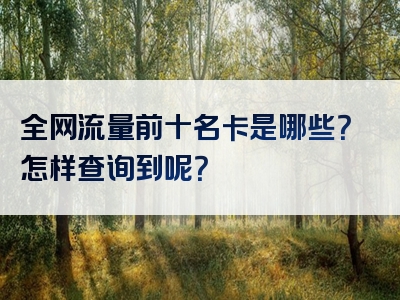 全网流量前十名卡是哪些？怎样查询到呢？