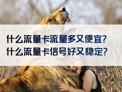 什么流量卡流量多又便宜？什么流量卡信号好又稳定？