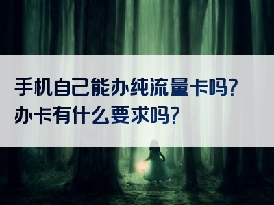 手机自己能办纯流量卡吗？办卡有什么要求吗？