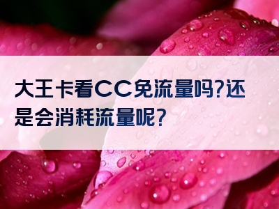 大王卡看CC免流量吗？还是会消耗流量呢？