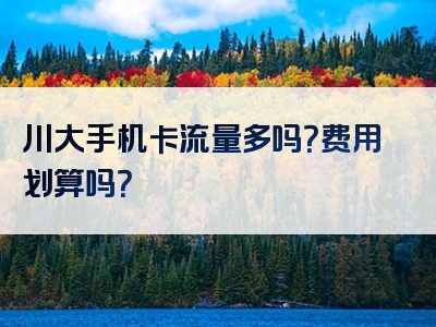 川大手机卡流量多吗？费用划算吗？