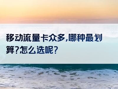 移动流量卡众多，哪种最划算？怎么选呢？