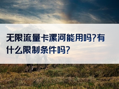 无限流量卡漯河能用吗？有什么限制条件吗？