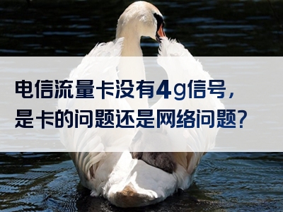 电信流量卡没有4g信号，是卡的问题还是网络问题？