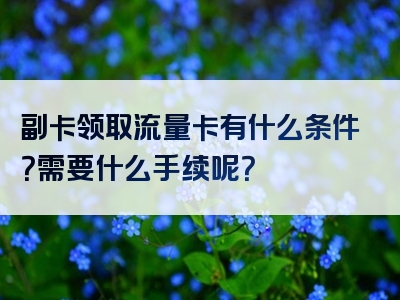 副卡领取流量卡有什么条件？需要什么手续呢？