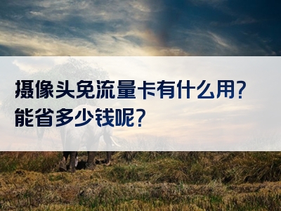 摄像头免流量卡有什么用？能省多少钱呢？