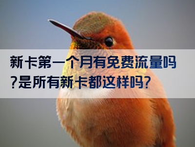 新卡第一个月有免费流量吗？是所有新卡都这样吗？