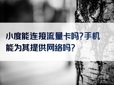 小度能连接流量卡吗？手机能为其提供网络吗？