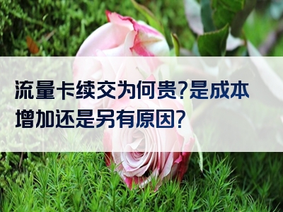 流量卡续交为何贵？是成本增加还是另有原因？