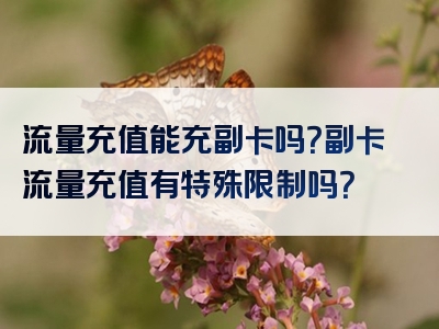 流量充值能充副卡吗？副卡流量充值有特殊限制吗？