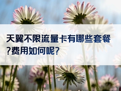 天翼不限流量卡有哪些套餐？费用如何呢？