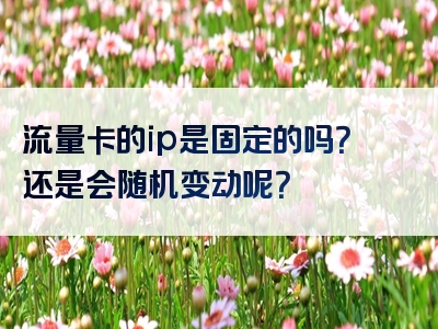 流量卡的ip是固定的吗？还是会随机变动呢？