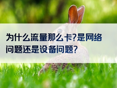 为什么流量那么卡？是网络问题还是设备问题？