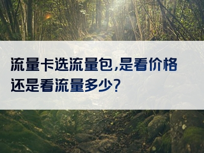 流量卡选流量包，是看价格还是看流量多少？