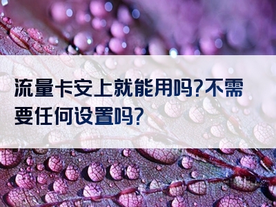 流量卡安上就能用吗？不需要任何设置吗？