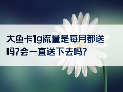 大鱼卡1g流量是每月都送吗？会一直送下去吗？