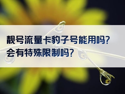 靓号流量卡豹子号能用吗？会有特殊限制吗？