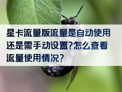 星卡流量版流量是自动使用还是需手动设置？怎么查看流量使用情况？
