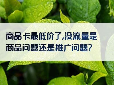 商品卡最低价了，没流量是商品问题还是推广问题？