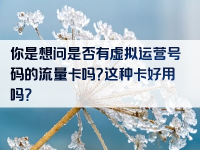 你是想问是否有虚拟运营号码的流量卡吗？这种卡好用吗？