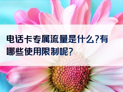电话卡专属流量是什么？有哪些使用限制呢？