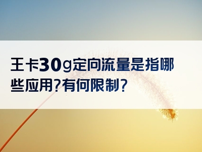 王卡30g定向流量是指哪些应用？有何限制？