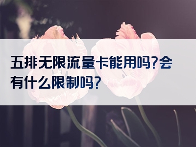五排无限流量卡能用吗？会有什么限制吗？