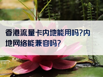 香港流量卡内地能用吗？内地网络能兼容吗？