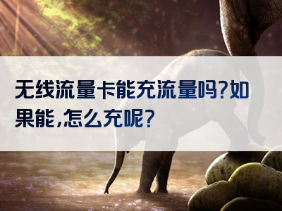 无线流量卡能充流量吗？如果能，怎么充呢？
