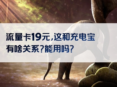 流量卡19元，这和充电宝有啥关系？能用吗？