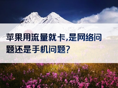 苹果用流量就卡，是网络问题还是手机问题？