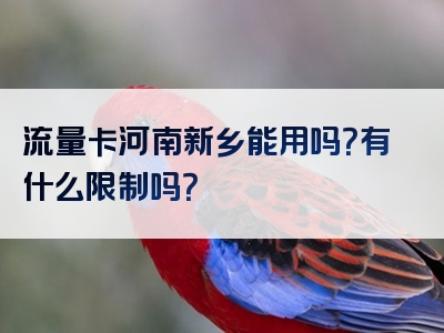 流量卡河南新乡能用吗？有什么限制吗？