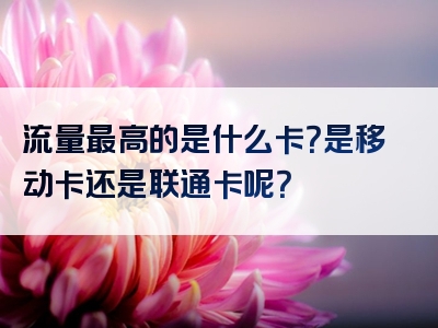 流量最高的是什么卡？是移动卡还是联通卡呢？