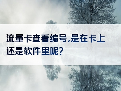 流量卡查看编号，是在卡上还是软件里呢？