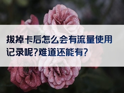 拔掉卡后怎么会有流量使用记录呢？难道还能有？