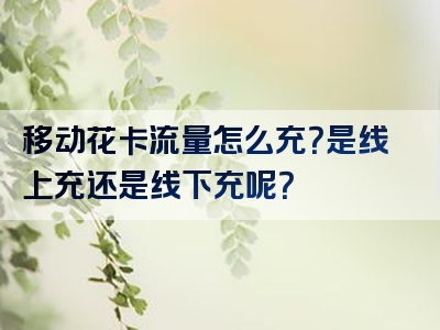 移动花卡流量怎么充？是线上充还是线下充呢？
