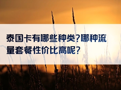 泰国卡有哪些种类？哪种流量套餐性价比高呢？